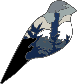 GS Edith Finch