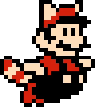 Racoon Mario