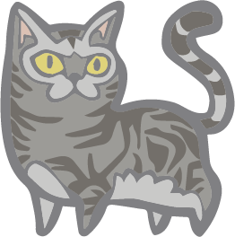 Enfu American Shorthair