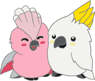 Love Birbs