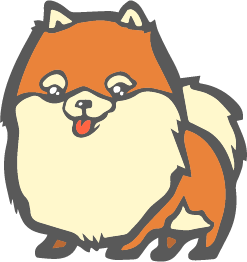 Enfu Pomeranian