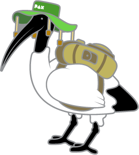 CamPin Chicken