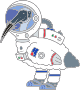 Pinterstellar Chicken
