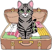 Pack the Essentials