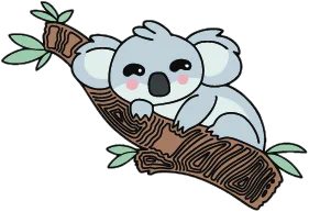 Koala Dreaming
